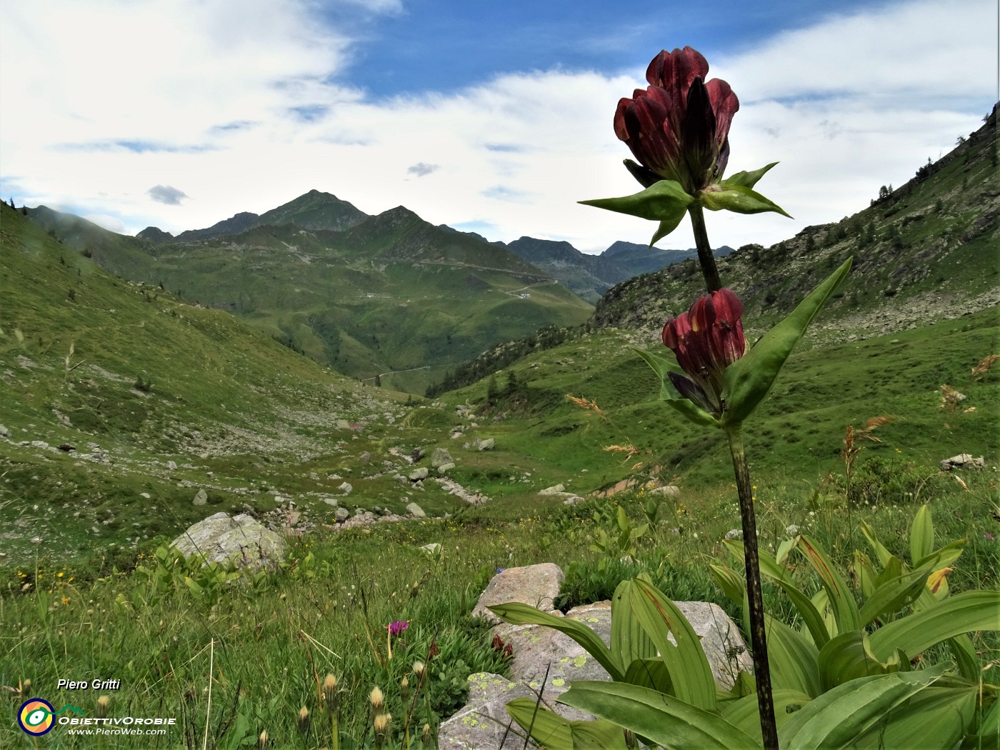 05 In discesa dal Mincucco nella Valle di Ponteranica .JPG